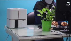 انواع بخور گرم و سرد با گارانتی معتبر